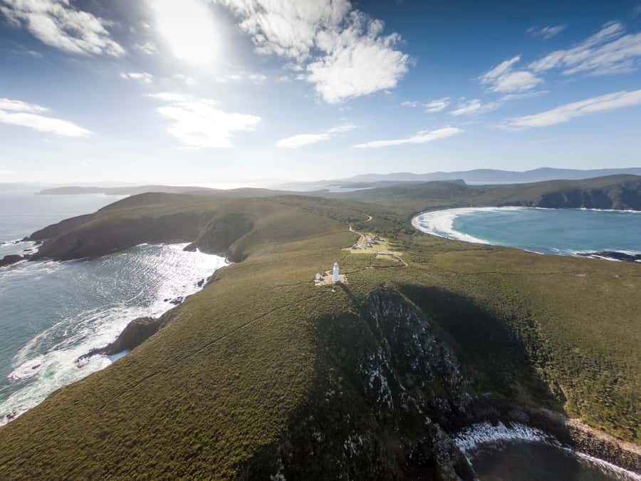 Bruny Island: Cape Bruny Lighthouse Tour - Seals, albatross, and the value of the binoculars