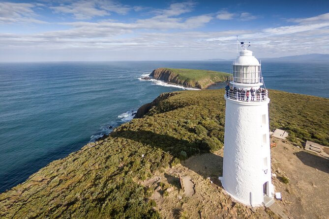 Bruny Island Food, Sightseeing, Guided Lighthouse Tour & Lunch - Five good reasons to consider this Bruny day