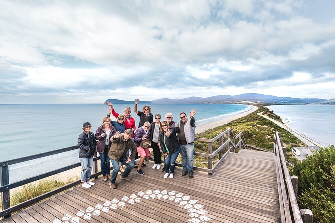 Bruny Island Food, Sightseeing, Guided Lighthouse Tour & Lunch - Mount Mangana rainforest and the chance of wildlife