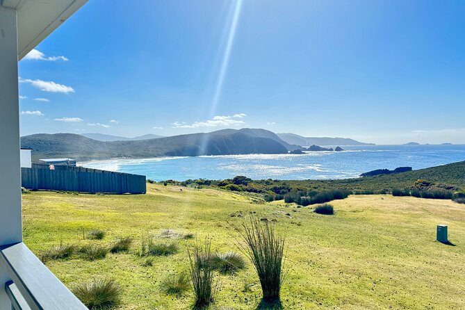 Bruny Island Food, Sightseeing, Guided Lighthouse Tour & Lunch - Afternoon tasting stops on the island