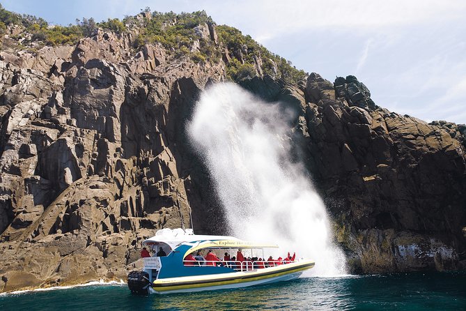 Bruny Island Wilderness Cruise from Adventure Bay, Bruny Island - Why this Bruny Island cruise feels different