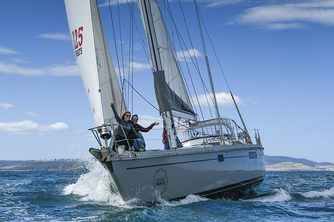 Bruny Island Wilderness Cruise from Adventure Bay, Bruny Island - How the guides shape the experience