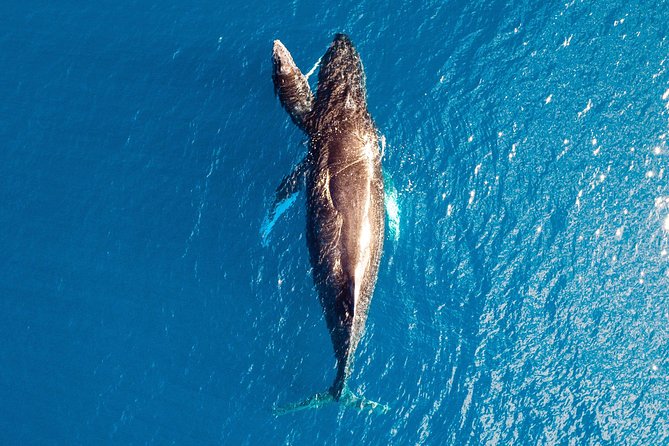 Buccaneer Explorer - Dry Season - Cygnet Bay, Cape Leveque, and the return route
