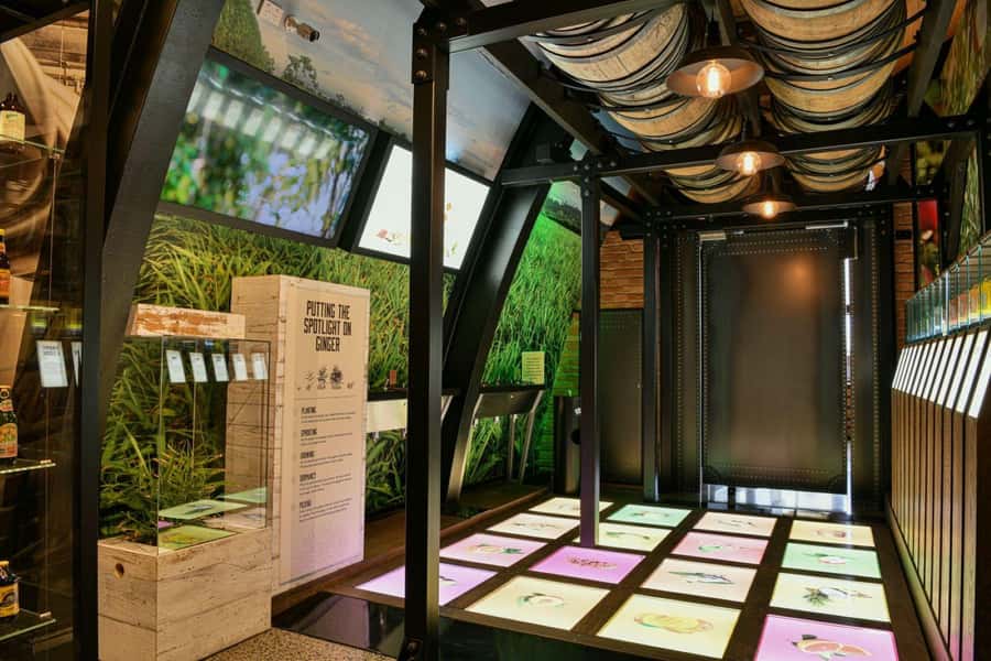 Bundaberg: Brew Tasting and Self-Guided Gallery Tour - Who will enjoy this 30-minute stop?