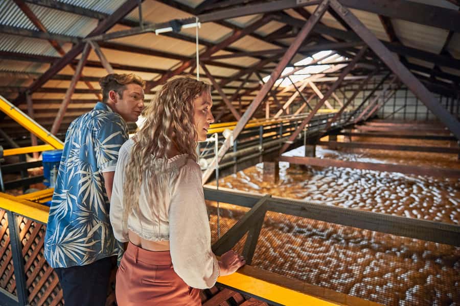 Bundaberg; Bundaberg Rum Distillery Tour and Tasting - Start with the museum and Bundaberg’s story