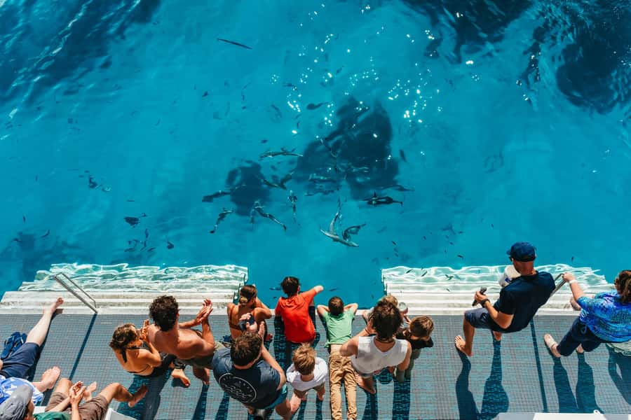 Bundaberg: Lady Musgrave Island and Great Barrier Reef Tour - Key points to know before booking