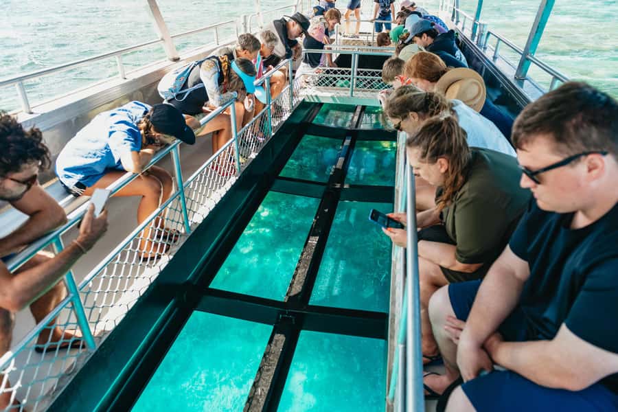 Bundaberg: Lady Musgrave Island and Great Barrier Reef Tour - Snorkeling with turtles and reef fish