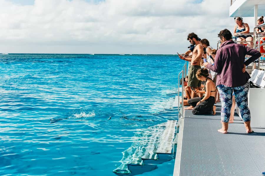 Bundaberg: Lady Musgrave Island and Great Barrier Reef Tour - Lunch, tea, and practical comforts