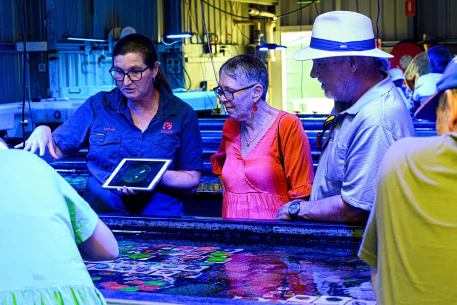 Bundaberg: Monsoon Aquatics Coral Farm Guided Tour - Is $22 a fair price?