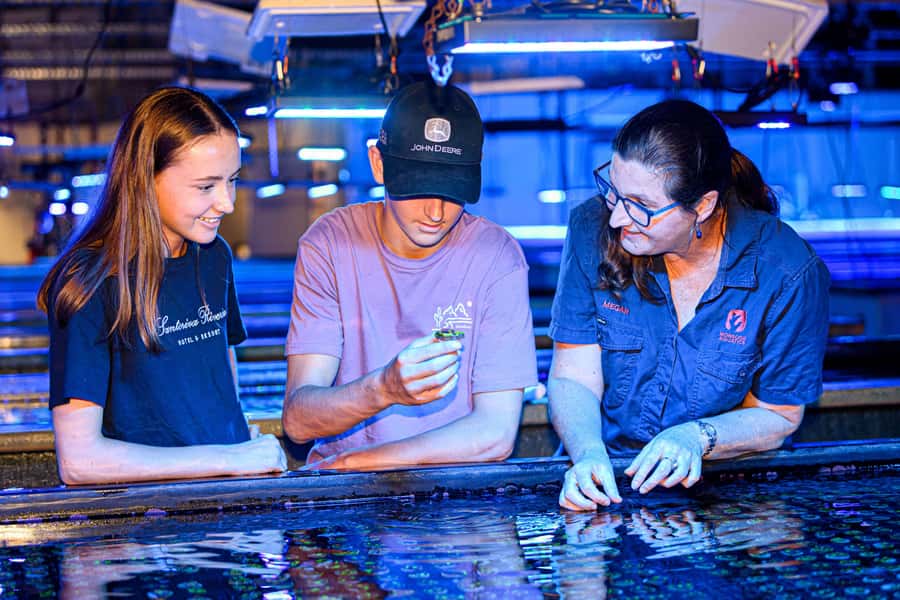 Bundaberg: Monsoon Aquatics Coral Farm Guided Tour - Entering the working coral farm