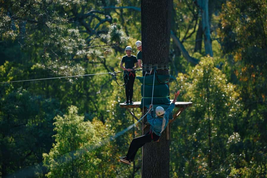 Busselton: Forest Adventure with Zip Lining and Rope Course - What to wear and what to bring