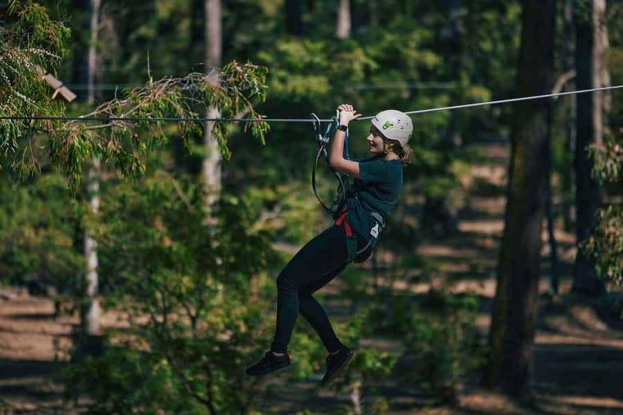 Busselton: Forest Adventure with Zip Lining and Rope Course - From a three-metre start to 19 metres high