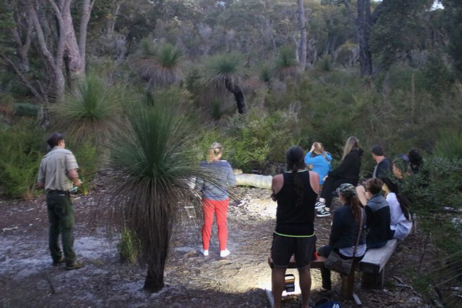 Busselton: Nocturnal Animal Tour - Why this night tour feels different from a wildlife park