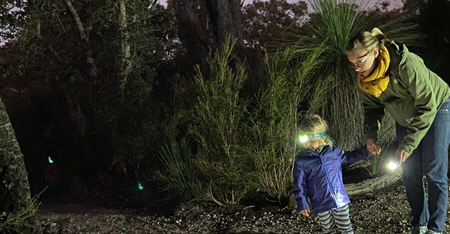 Busselton: Nocturnal Animal Tour - Billy tea, biscuits, and seasonal bush tucker