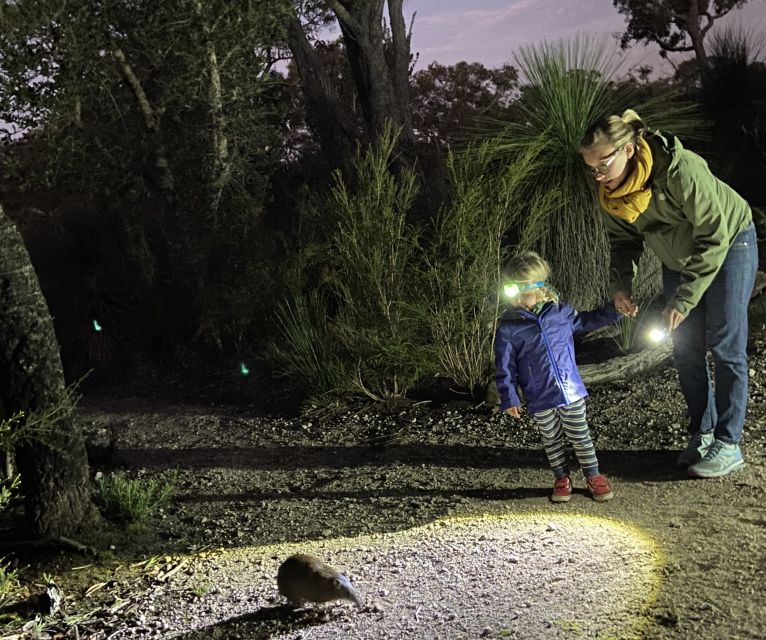 Busselton: Nocturnal Animal Tour - The half-hour-before-sunset pickup