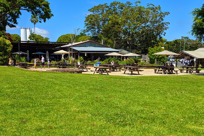 Byron Bay, Bangalow & Gold Coast Day Trip from Brisbane - Walking the Cape Byron Lighthouse route