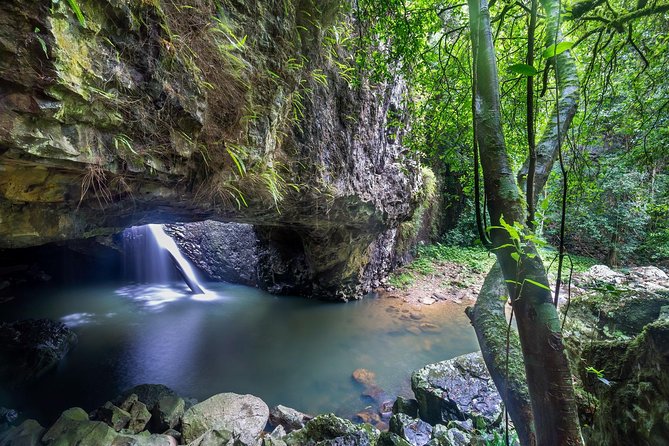 Byron Bay, Bangalow & Gold Coast Day Trip from Brisbane - Making your own plan in Byron Bay