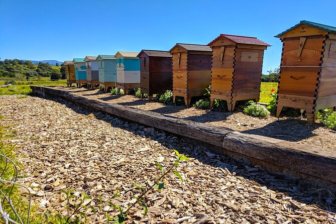 Byron Bay, Bangalow & Gold Coast Day Trip from Brisbane - Slowing down in Bangalow