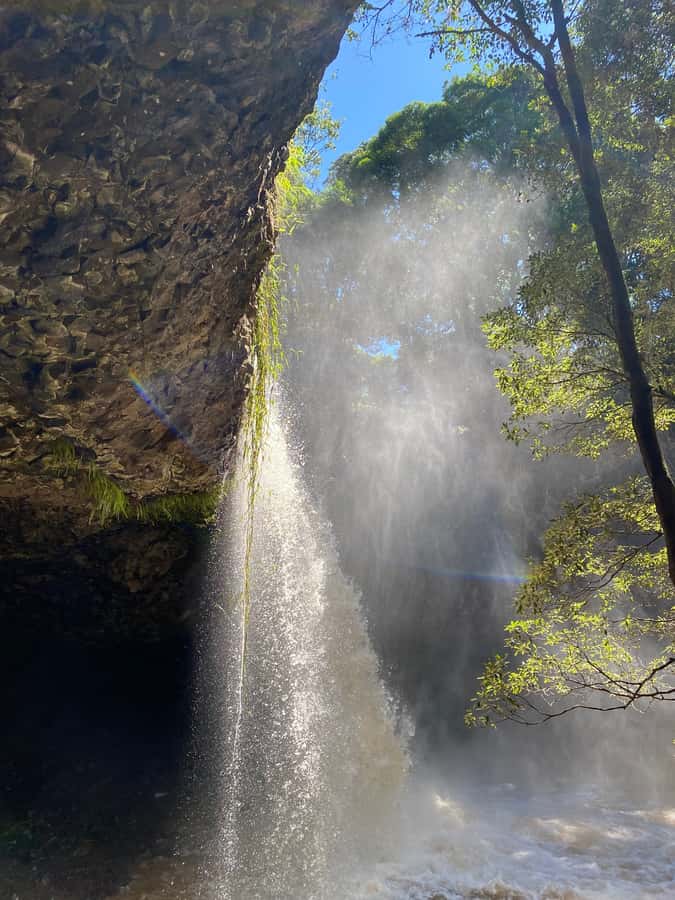 Byron Bay: Behind The Bay Waterfalls & Hidden Gems Day Tour - Key points at a glance