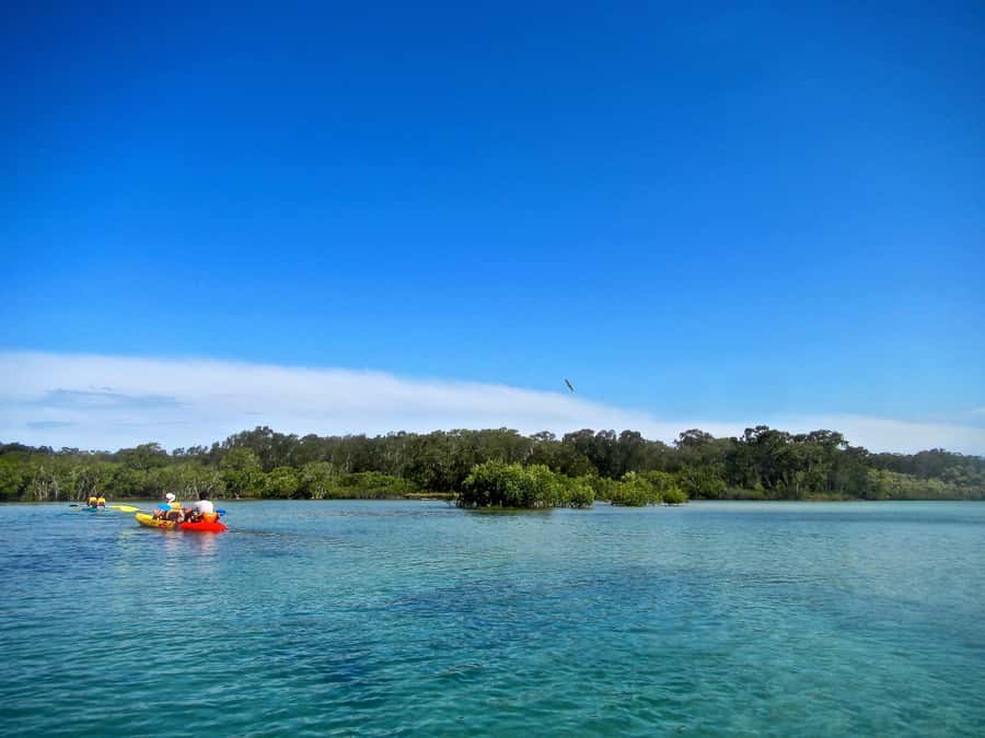Byron Bay: Brunswick River Scenic Kayak Tour - A few limits to keep in mind