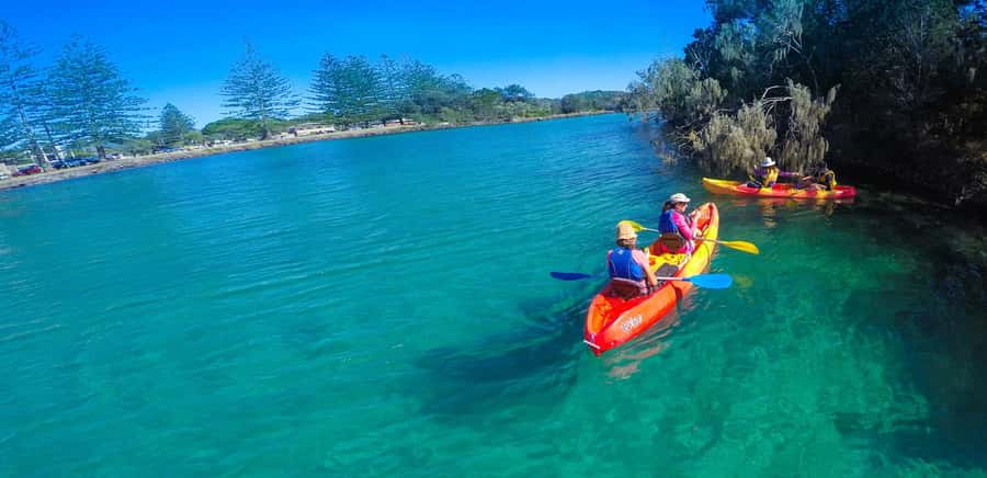 Byron Bay: Brunswick River Scenic Kayak Tour - Following the Brunswick River at an easy pace