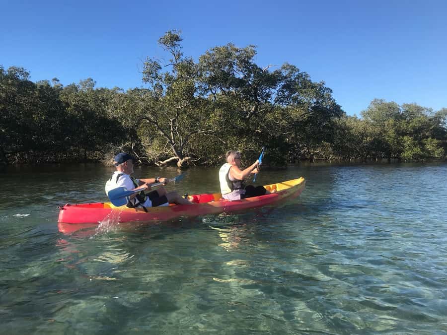 Byron Bay: Brunswick River Scenic Kayak Tour - A break beside the water
