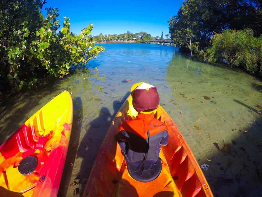 Byron Bay: Brunswick River Scenic Kayak Tour - Guides, stories, and the Northern Rivers