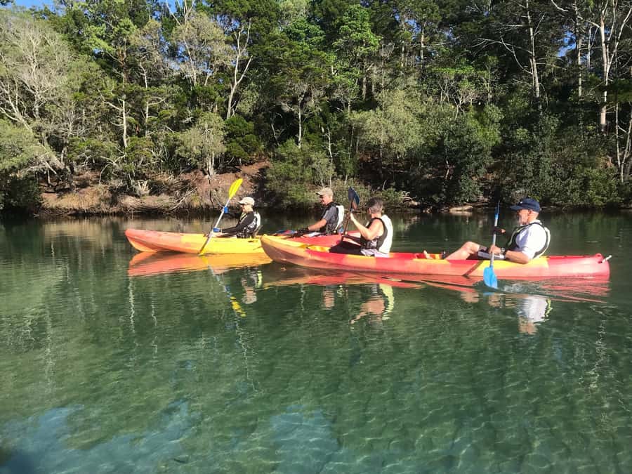 Byron Bay: Brunswick River Scenic Kayak Tour - What $42 gets you