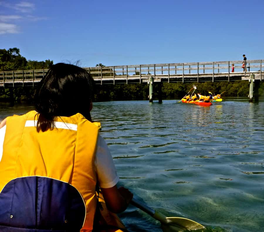 Byron Bay: Brunswick River Scenic Kayak Tour - Who will enjoy this tour most