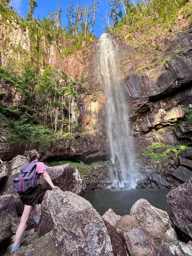 Byron Bay: Glowworms, Waterfalls & Rainforest Experience - Key points at a glance