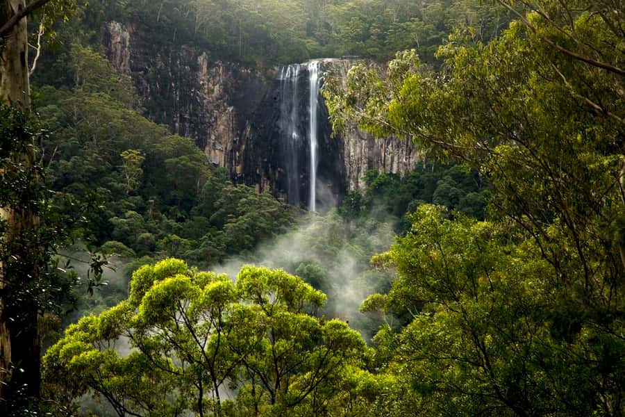 Byron Bay: Glowworms, Waterfalls & Rainforest Experience - A light vegetarian dinner in the forest