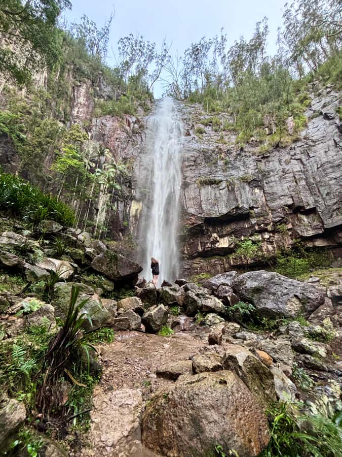 Byron Bay: Glowworms, Waterfalls & Rainforest Experience - Lookouts that widen the view