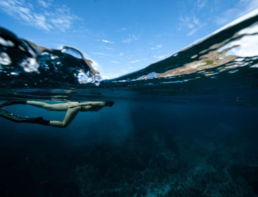 Byron Bay: Snorkeling Tour at Julian Rocks, Nguthungulli - One and a half hours around Nguthungulli