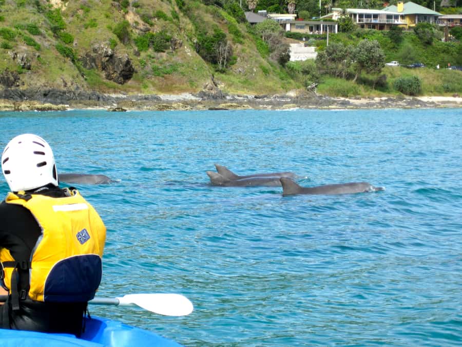 Byron Bay: The Byron Bay Sea Kayak Tour - Key points to know before you book