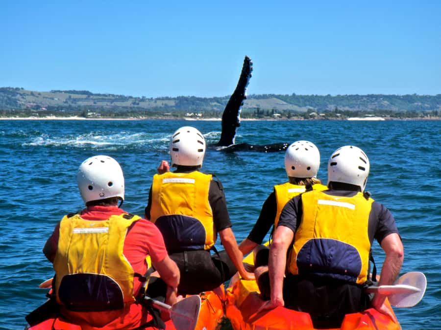 Byron Bay: The Byron Bay Sea Kayak Tour - Seeing the lighthouse from the water
