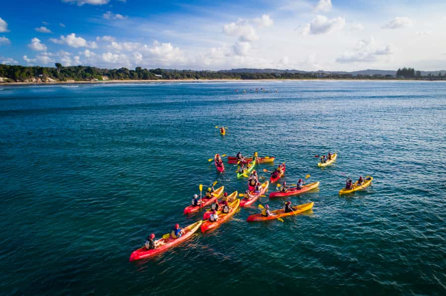 Byron Bay: The Byron Bay Sea Kayak Tour - Wildlife watching without chasing animals