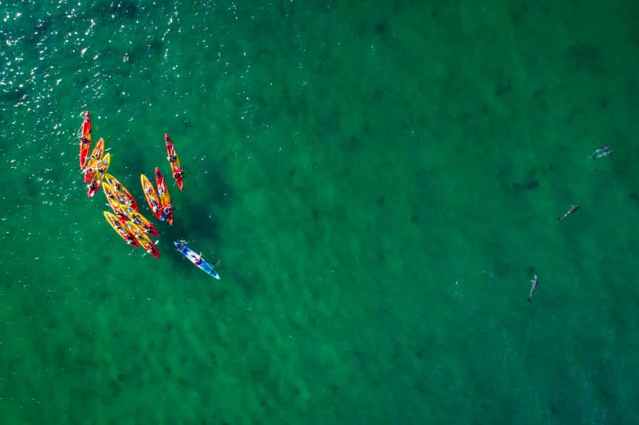 Byron Bay: The Byron Bay Sea Kayak Tour - How the guides shape the outing