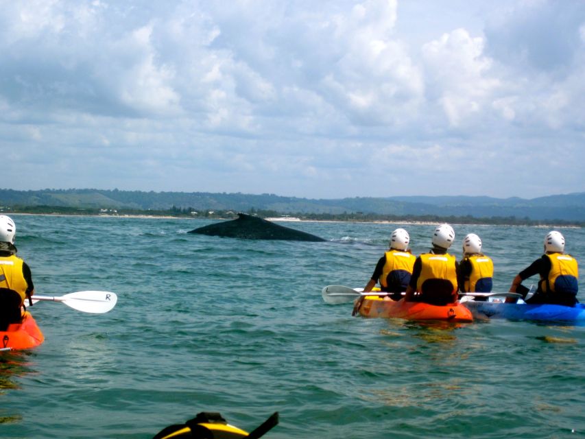 Byron Bay: The Byron Bay Sea Kayak Tour - What $63 buys you