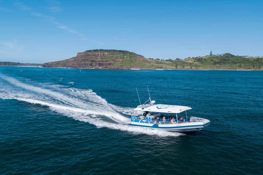 Byron Bay: Whale Watching Cruise with a Marine Biologist - Who should book this cruise?