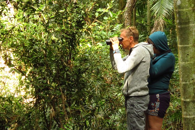 Byron Bay Wildlife Safari - Key points before you book
