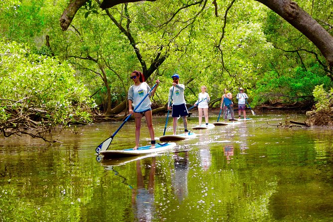 Byron Stand Up Paddle Nature Tour - Key points to know before you paddle