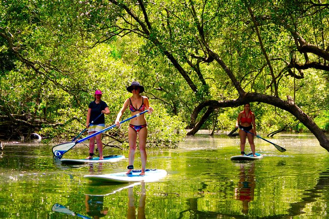 Byron Stand Up Paddle Nature Tour - A quieter side of the Byron Bay area