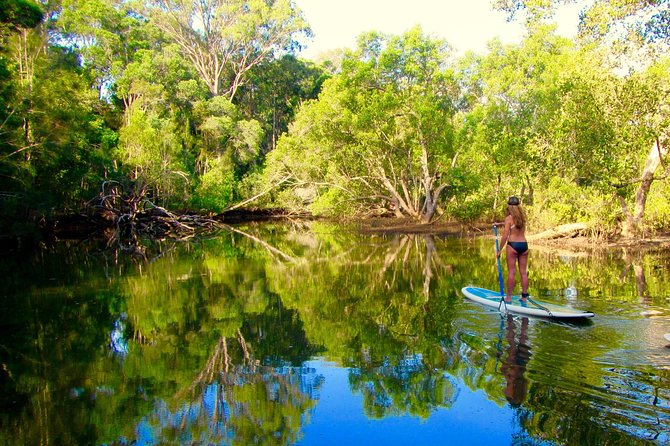 Byron Stand Up Paddle Nature Tour - The tunnel of trees
