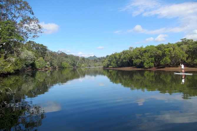 Byron Stand Up Paddle Nature Tour - Gliding down the Brunswick River