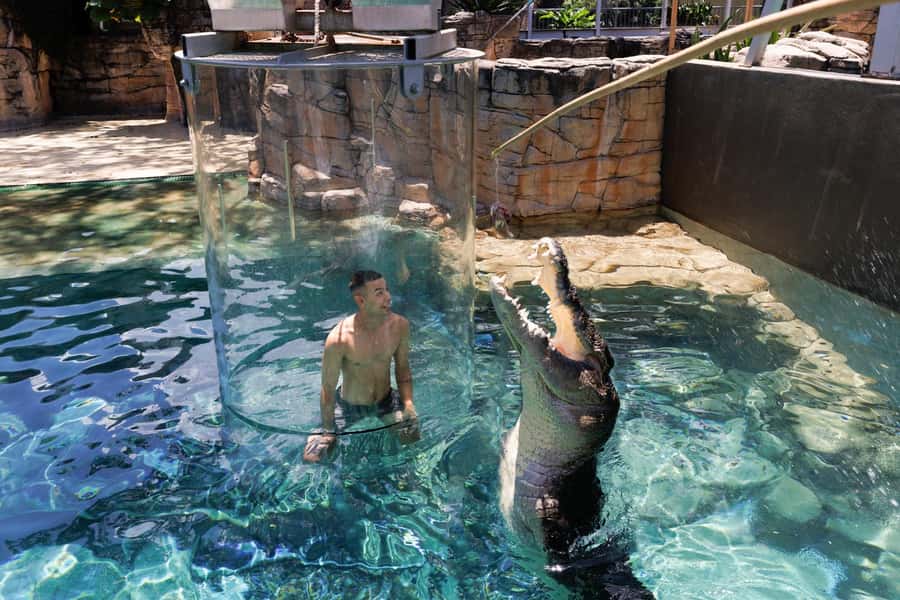 "Cage Of Death" Crocodile Swim and Entry to Crocosaurus Cove - The photographers and the extra cost