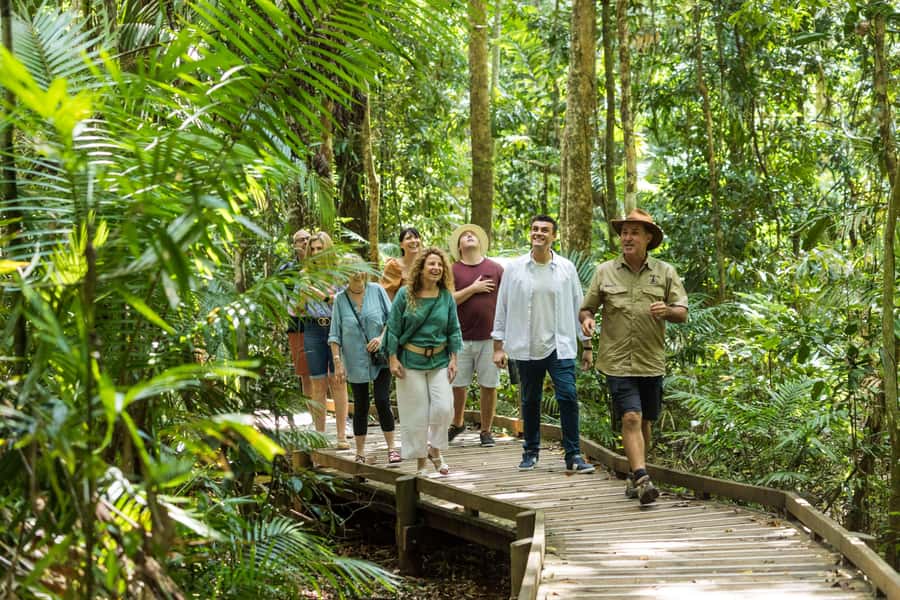 Cairns: 2-Day Great Barrier Reef & Daintree Rainforest Tour - Key points before you book