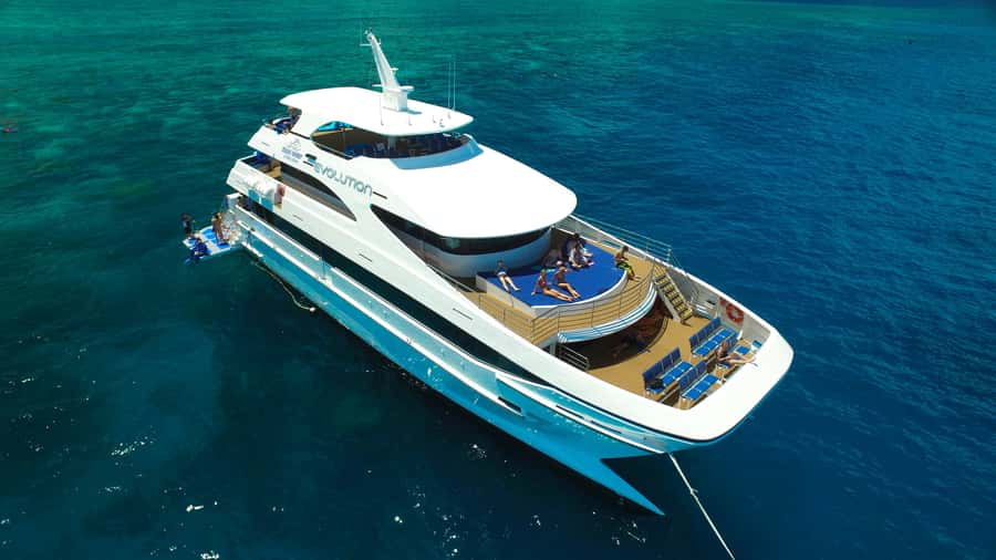 Cairns: 2-Day Great Barrier Reef & Daintree Rainforest Tour - Why this two-day Cairns pairing works