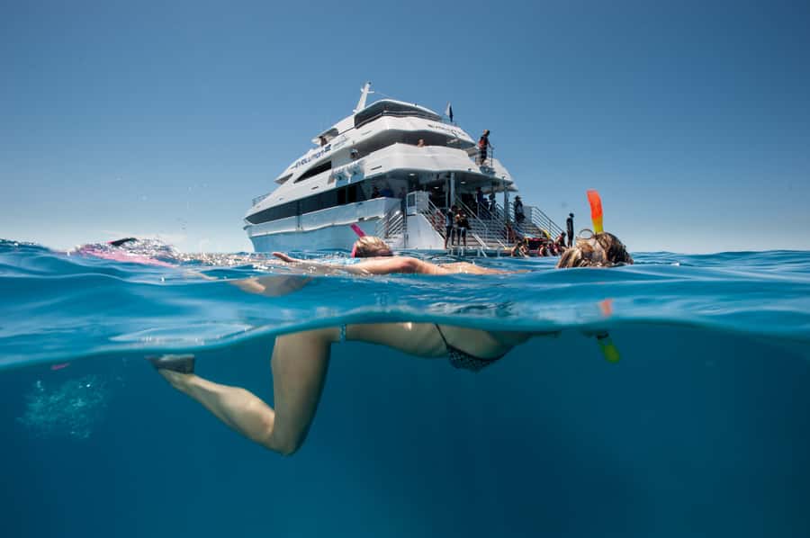 Cairns: 2-Day Great Barrier Reef & Daintree Rainforest Tour - Crocodiles and birdlife on the Daintree River