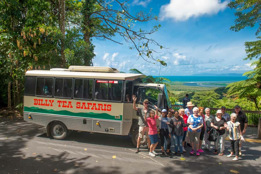 Cairns: 2-Day Great Barrier Reef & Daintree Rainforest Tour - A short forest walk with a useful introduction