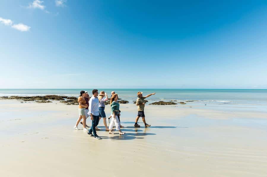Cairns: 2-Day Great Barrier Reef & Daintree Rainforest Tour - Lunch, a freshwater swim, and the practical rhythm of the day